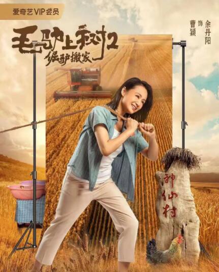 国产婷婷高清在线观看免费