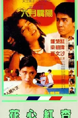亚洲国产成a人v在线观看