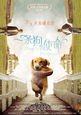 五月婷婷丁香网