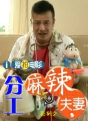 国产一区二区在线观看麻豆
