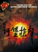 99久久精品一区二区三区