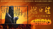 99热热久久这里只有精品8