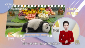 精品国偷自产在线